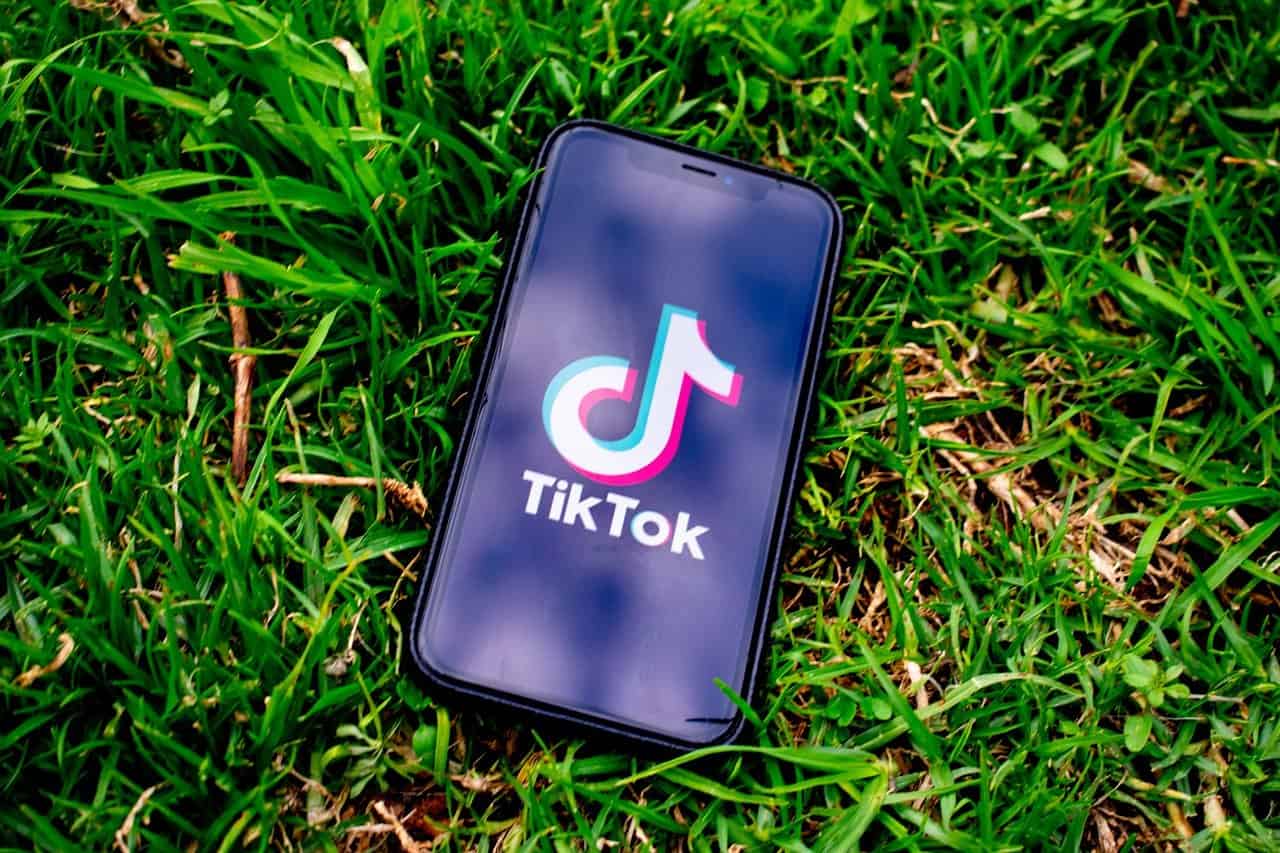 TikTok? Okay, Fine.